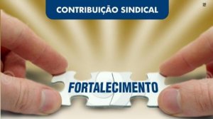 Diviso da Contribuio Sindical