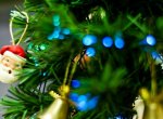 Fecomrcio prev que 13  salrio e vendas de Natal devem acelerar economia de SC