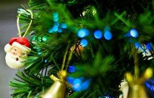 Fecomrcio prev que 13  salrio e vendas de Natal devem acelerar economia de SC